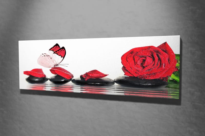 Dekorativ Canvasbilde 30x80 cm - Flerfarget - Innredning - Bilder & kunst - Lerretsbilder