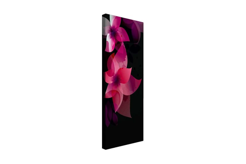 Dekorativ Canvasbilde 30x80 cm - Flerfarget - Innredning - Bilder & kunst - Lerretsbilder
