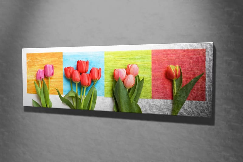 Dekorativ Canvasbilde 30x80 cm - Flerfarget - Innredning - Bilder & kunst - Lerretsbilder