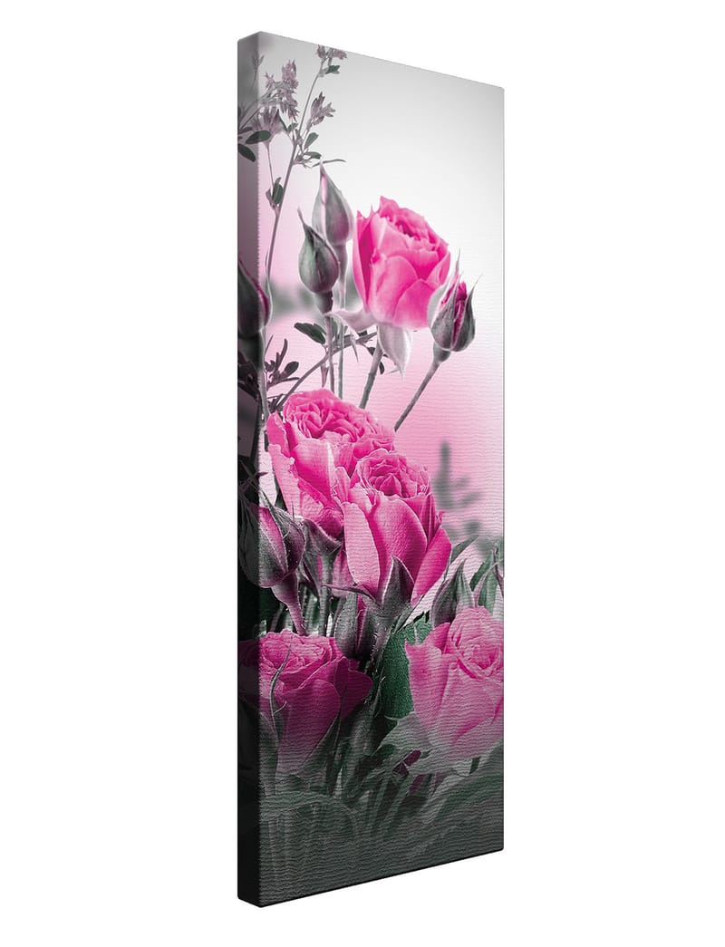 Dekorativ Canvasbilde 30x80 cm - Flerfarget - Innredning - Bilder & kunst - Lerretsbilder