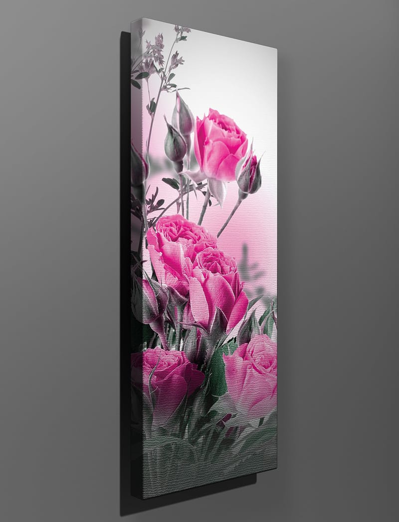 Dekorativ Canvasbilde 30x80 cm - Flerfarget - Innredning - Bilder & kunst - Lerretsbilder