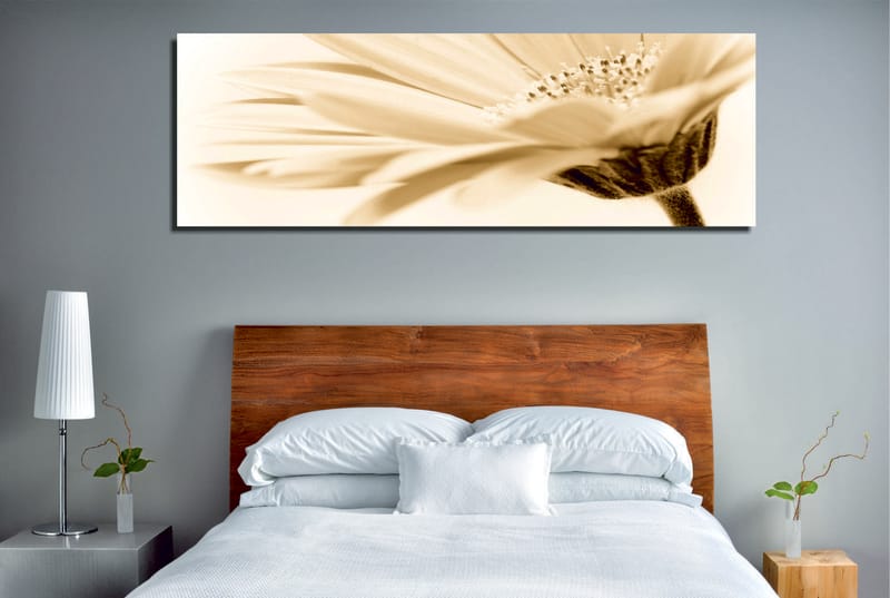 Dekorativ Canvasbilde 30x80 cm - Flerfarget - Innredning - Bilder & kunst - Lerretsbilder