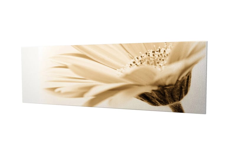 Dekorativ Canvasbilde 30x80 cm - Flerfarget - Innredning - Bilder & kunst - Lerretsbilder