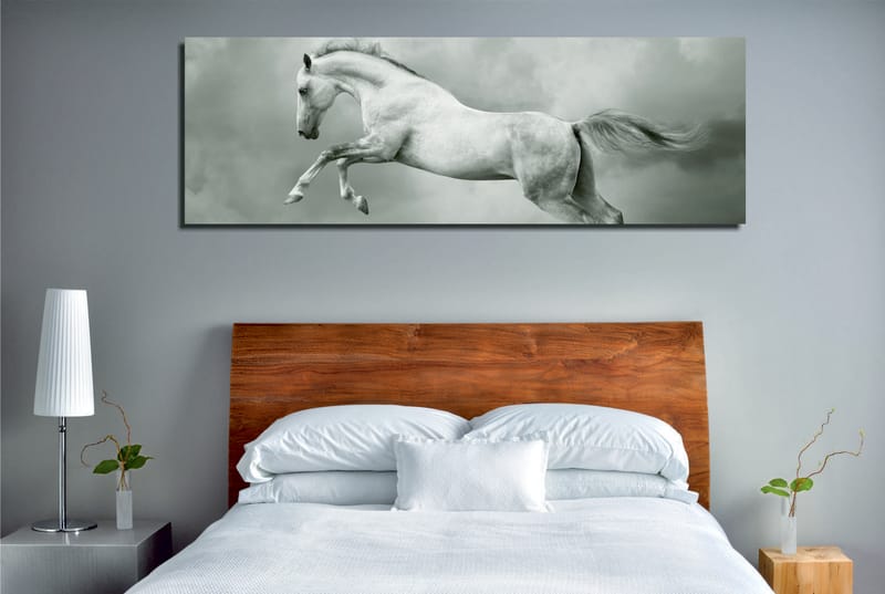 Dekorativ Canvasbilde 30x80 cm - Flerfarget - Innredning - Bilder & kunst - Lerretsbilder