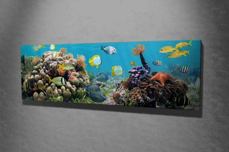 Dekorativ Canvasbilde 30x80 cm - Flerfarget - Innredning - Bilder & kunst - Lerretsbilder