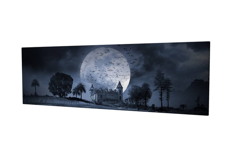 Dekorativ Canvasbilde 30x80 cm - Flerfarget - Innredning - Bilder & kunst - Lerretsbilder