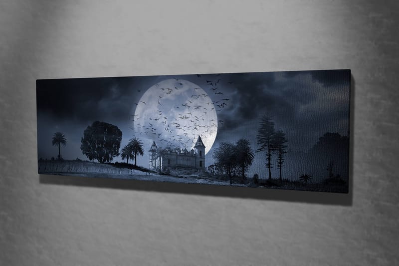 Dekorativ Canvasbilde 30x80 cm - Flerfarget - Innredning - Bilder & kunst - Lerretsbilder