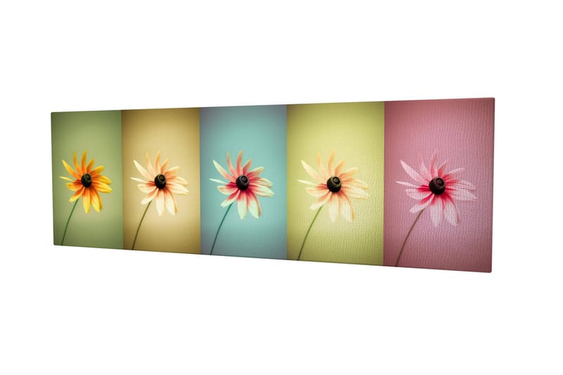 Dekorativ Canvasbilde 30x80 cm - Flerfarget - Innredning - Bilder & kunst - Lerretsbilder