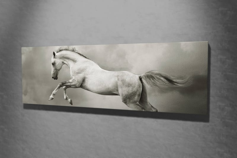 Dekorativ Canvasbilde 30x80 cm - Flerfarget - Innredning - Bilder & kunst - Lerretsbilder