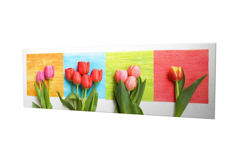 Dekorativ Canvasbilde 30x80 cm - Flerfarget - Innredning - Bilder & kunst - Lerretsbilder