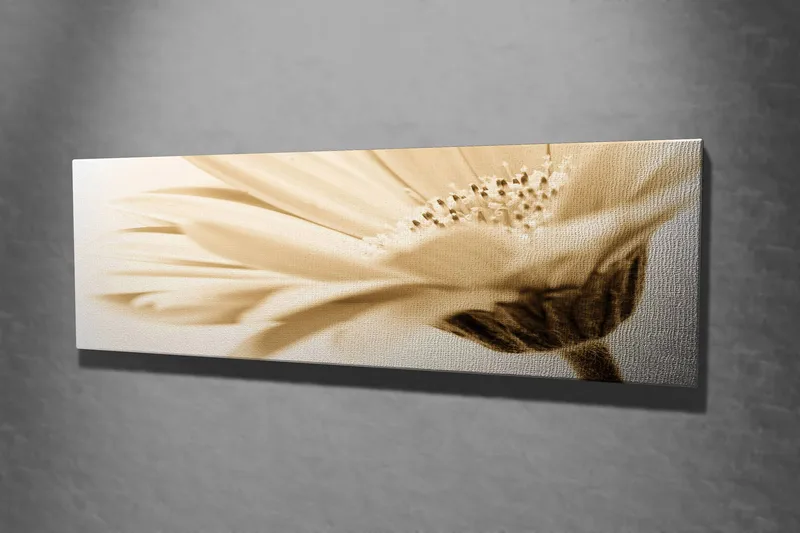 Dekorativ Canvasbilde 30x80 cm - Flerfarget - Innredning - Bilder & kunst - Lerretsbilder