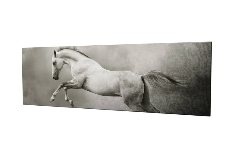 Dekorativ Canvasbilde 30x80 cm - Flerfarget - Innredning - Bilder & kunst - Lerretsbilder