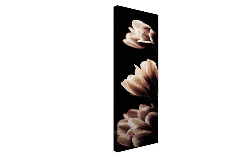 Dekorativ Canvasbilde 30x80 cm - Flerfarget - Innredning - Bilder & kunst - Lerretsbilder