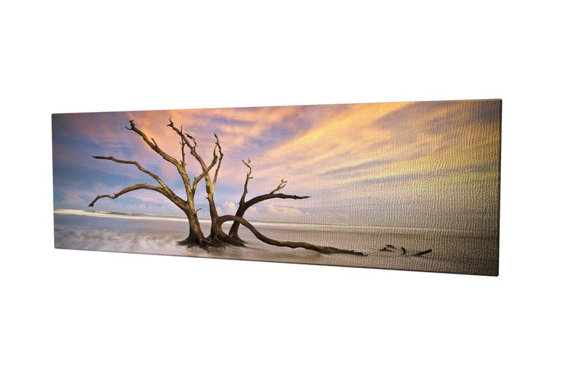 Dekorativ Canvasbilde 30x80 cm, Flerfarget