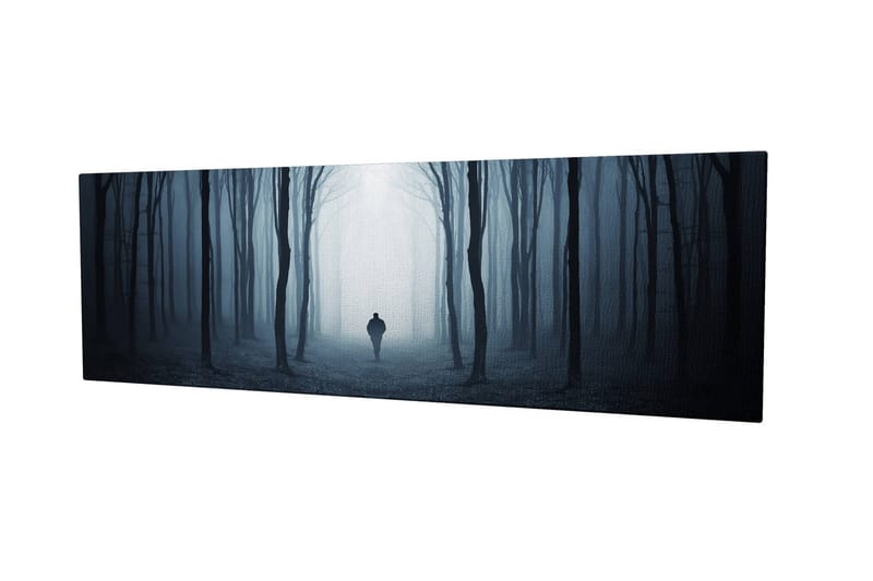 Dekorativ Canvasbilde 30x80 cm - Flerfarget - Innredning - Bilder & kunst - Lerretsbilder