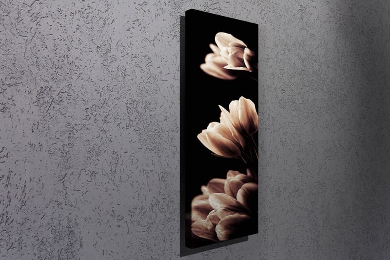 Dekorativ Canvasbilde 30x80 cm - Flerfarget - Innredning - Bilder & kunst - Lerretsbilder