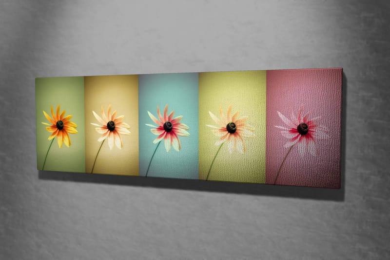 Dekorativ Canvasbilde 30x80 cm - Flerfarget - Innredning - Bilder & kunst - Lerretsbilder