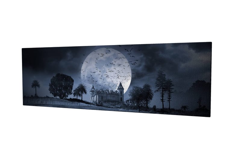 Dekorativ Canvasbilde 30x80 cm, Flerfarget