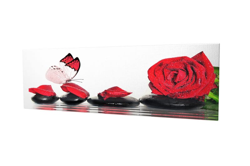 Dekorativ Canvasbilde 30x80 cm, Flerfarget