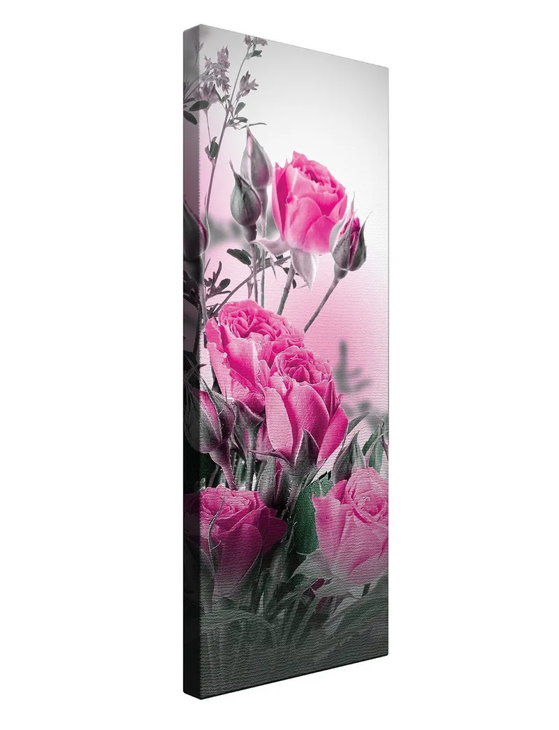 Dekorativ Canvasbilde 30x80 cm - Flerfarget - Innredning - Bilder & kunst - Lerretsbilder