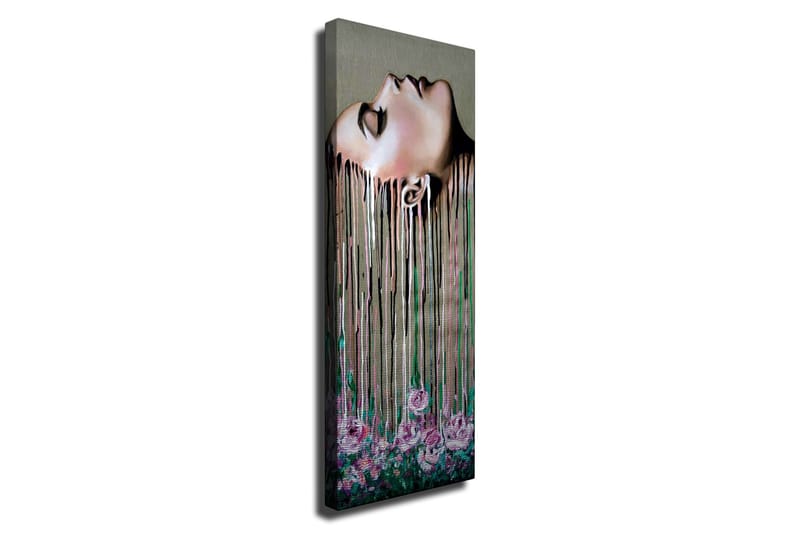 Dekorativ Canvasbilde 30x80 cm, Flerfarget