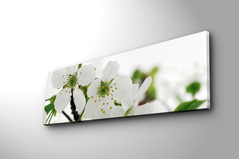 Dekorativ Canvasbilde 30x90 cm - Flerfarget - Innredning - Bilder & kunst - Lerretsbilder