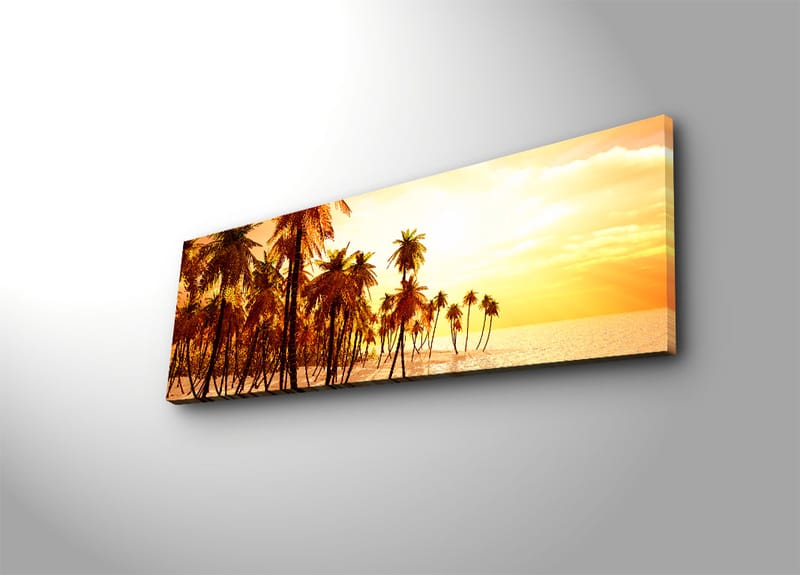 Dekorativ Canvasbilde 30x90 cm - Flerfarget - Innredning - Bilder & kunst - Lerretsbilder