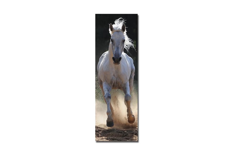 Dekorativ Canvasbilde 30x90 cm - Flerfarget - Innredning - Bilder & kunst - Lerretsbilder