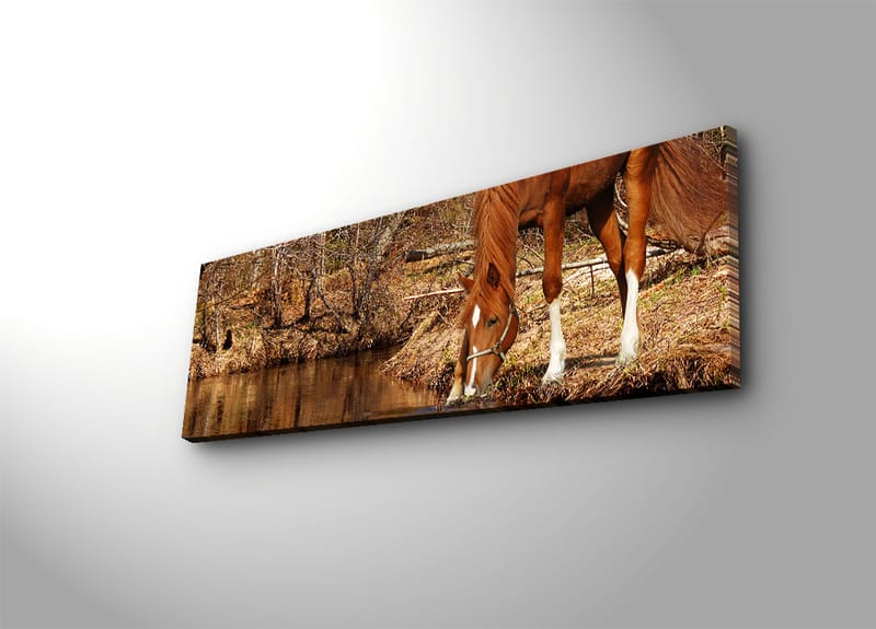 Dekorativ Canvasbilde 30x90 cm - Flerfarget - Innredning - Bilder & kunst - Lerretsbilder