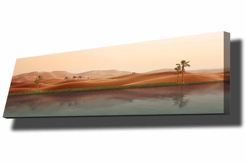 Dekorativ Canvasbilde 30x90 cm - Flerfarget - Innredning - Bilder & kunst - Lerretsbilder