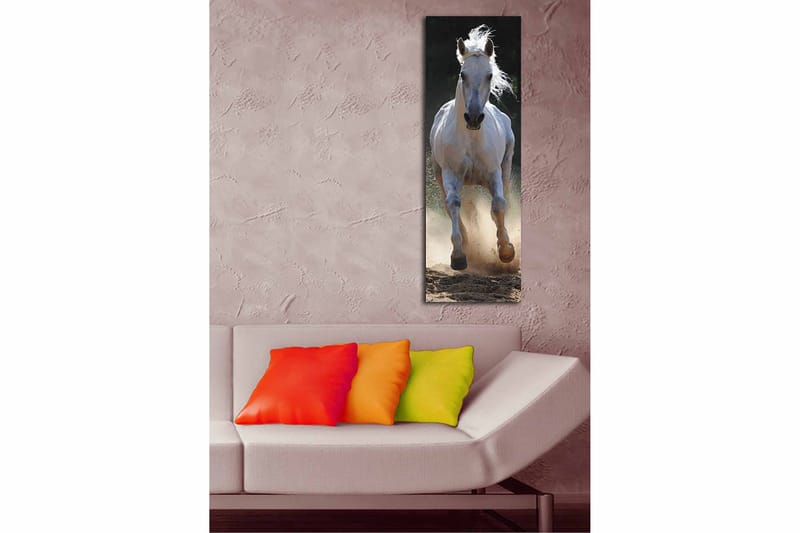 Dekorativ Canvasbilde 30x90 cm - Flerfarget - Innredning - Bilder & kunst - Lerretsbilder