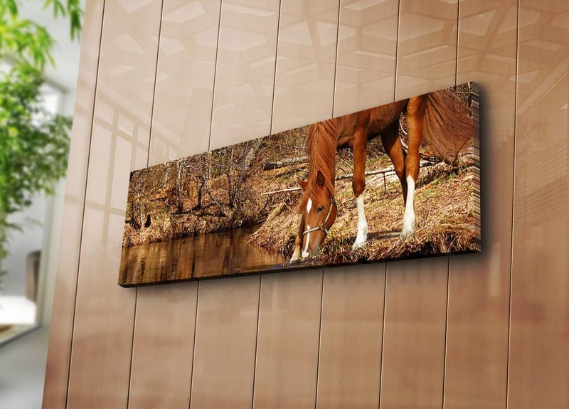 Dekorativ Canvasbilde 30x90 cm - Flerfarget - Innredning - Bilder & kunst - Lerretsbilder