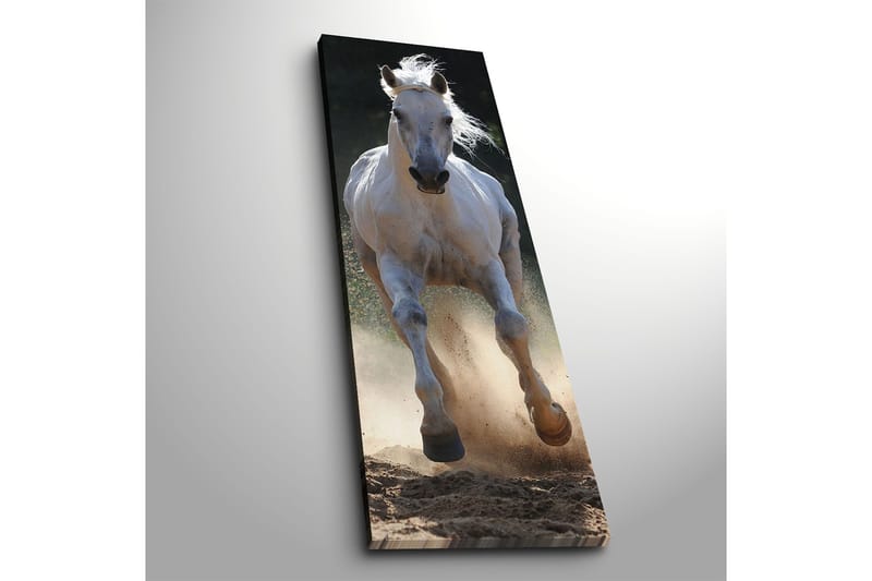 Dekorativ Canvasbilde 30x90 cm - Flerfarget - Innredning - Bilder & kunst - Lerretsbilder