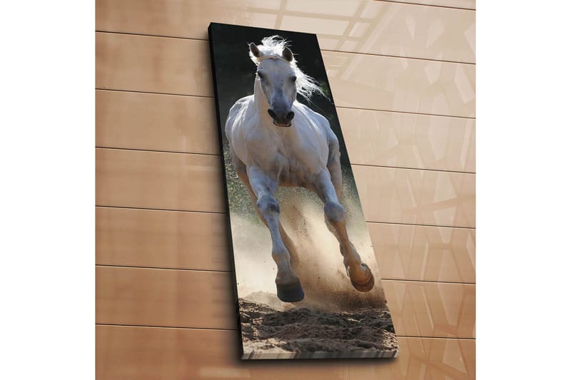 Dekorativ Canvasbilde 30x90 cm - Flerfarget - Innredning - Bilder & kunst - Lerretsbilder