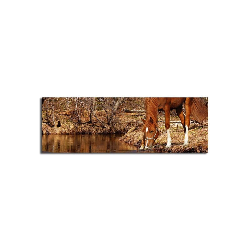 Dekorativ Canvasbilde 30x90 cm - Flerfarget - Innredning - Bilder & kunst - Lerretsbilder