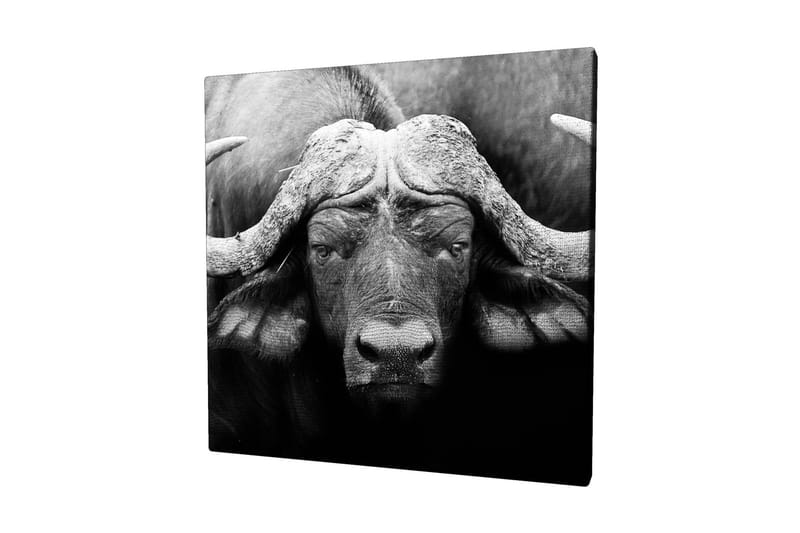 Dekorativ Canvasbilde 45x45 cm - Flerfarget - Innredning - Bilder & kunst - Lerretsbilder