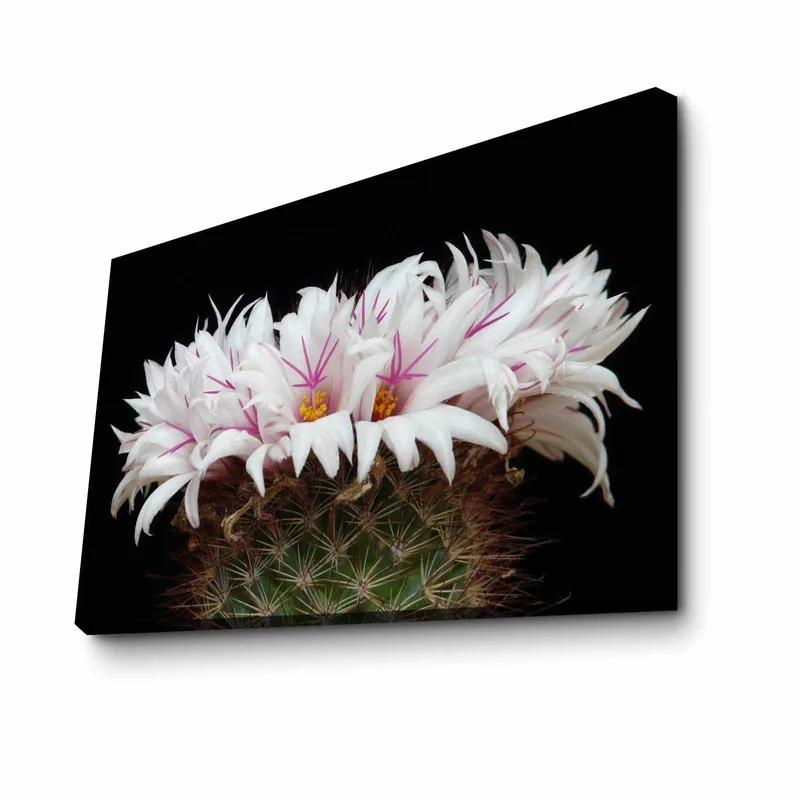 Dekorativ Canvasbilde 45x70 cm, Flerfarget