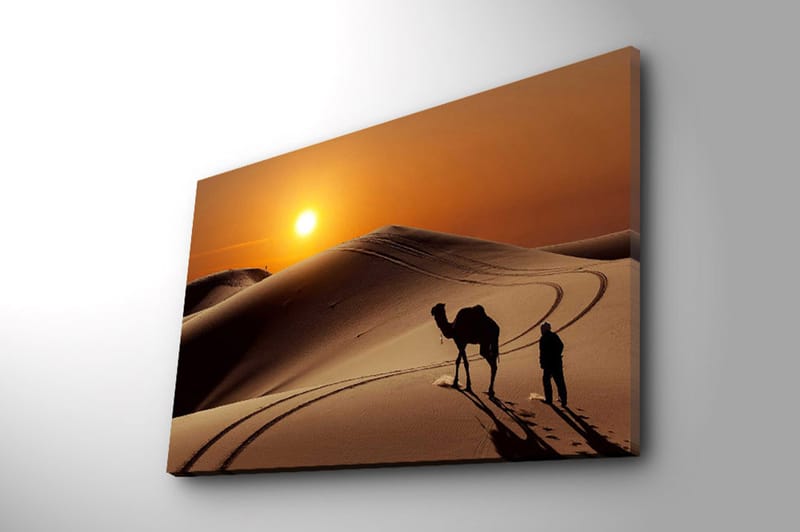 Dekorativ Canvasbilde 45x70 cm - Flerfarget - Innredning - Bilder & kunst - Lerretsbilder
