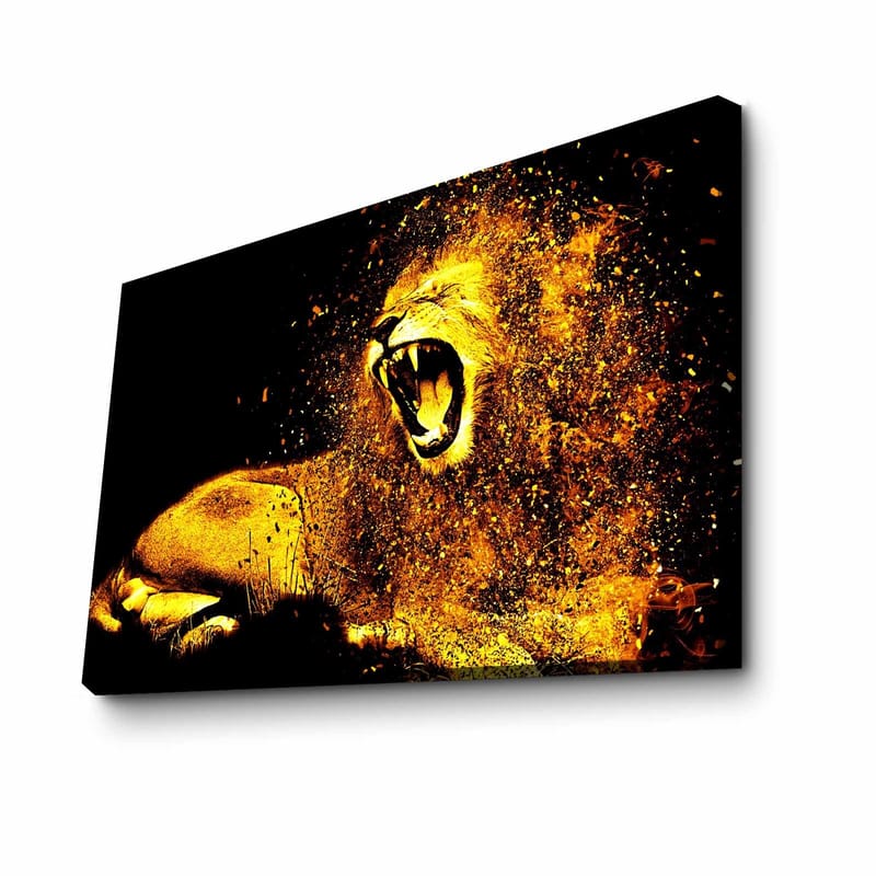Dekorativ Canvasbilde 45x70 cm - Flerfarget - Innredning - Bilder & kunst - Lerretsbilder