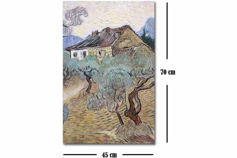 Dekorativ Canvasbilde 45x70 cm - Flerfarget - Innredning - Bilder & kunst - Lerretsbilder