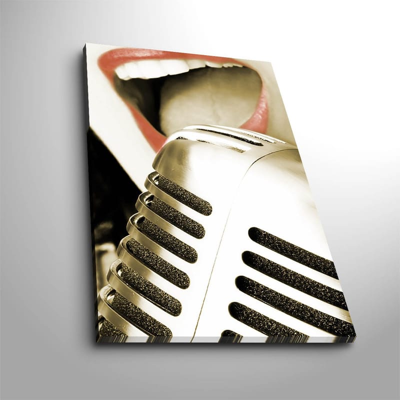 Dekorativ Canvasbilde 45x70 cm, Flerfarget