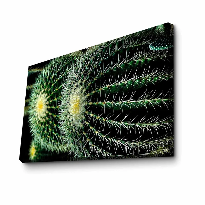 Dekorativ Canvasbilde 45x70 cm, Flerfarget