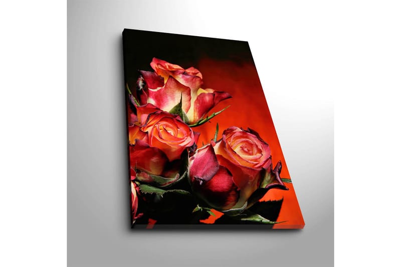 Dekorativ Canvasbilde 45x70 cm - Flerfarget - Innredning - Bilder & kunst - Lerretsbilder