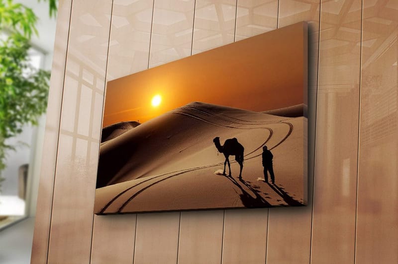 Dekorativ Canvasbilde 45x70 cm - Flerfarget - Innredning - Bilder & kunst - Lerretsbilder