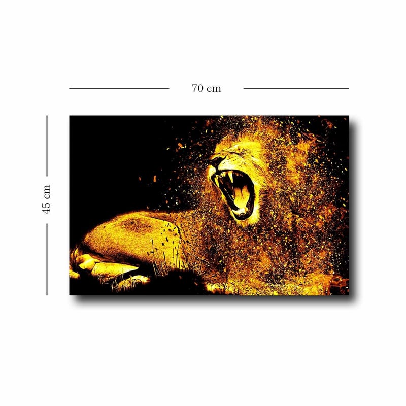 Dekorativ Canvasbilde 45x70 cm - Flerfarget - Innredning - Bilder & kunst - Lerretsbilder