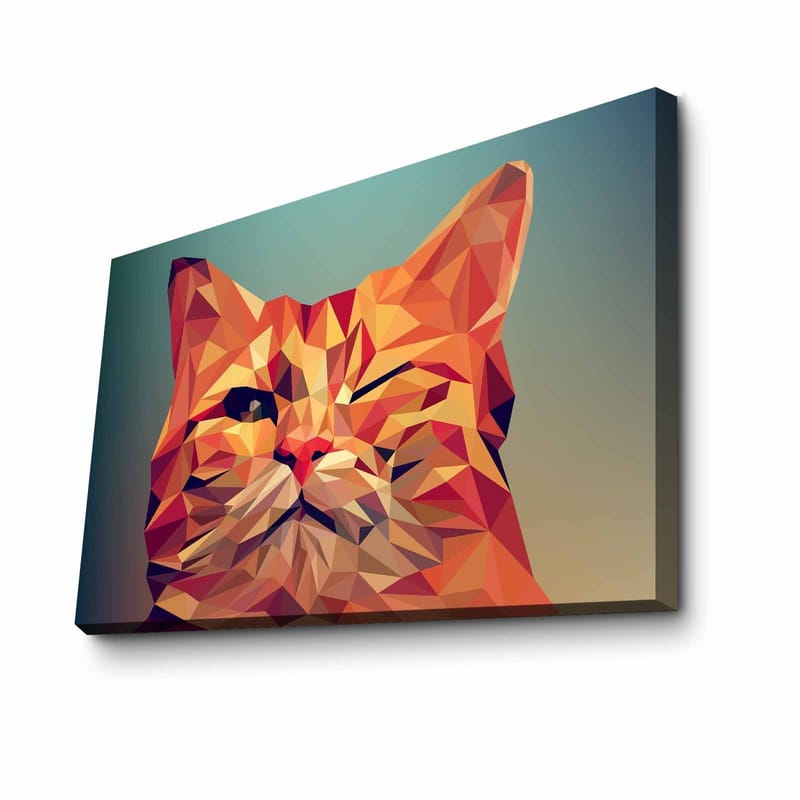 Dekorativ Canvasbilde 45x70 cm, Flerfarget