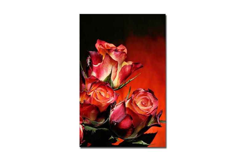 Dekorativ Canvasbilde 45x70 cm, Flerfarget