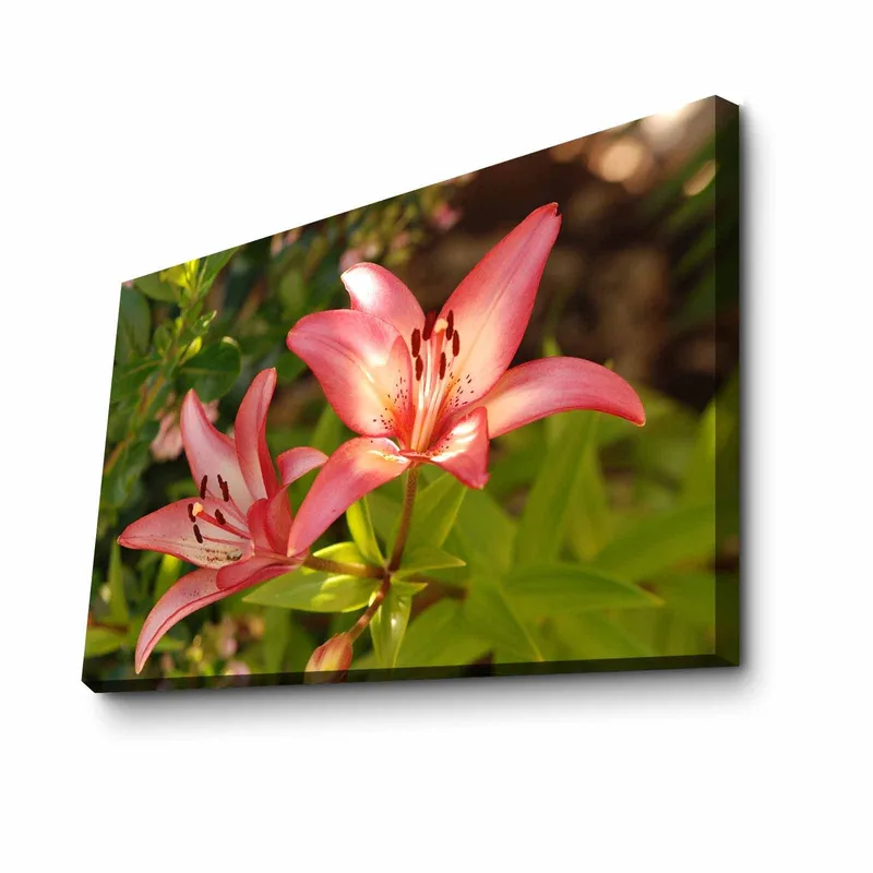 Dekorativ Canvasbilde 45x70 cm, Flerfarget