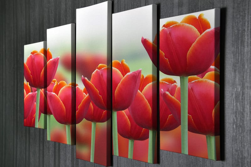 Dekorativ Canvasbilde 5-Deler 70x20 cm - Flerfarget - Innredning - Bilder & kunst - Lerretsbilder