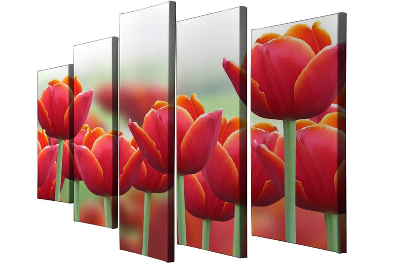 Dekorativ Canvasbilde 5-Deler 70x20 cm - Flerfarget - Innredning - Bilder & kunst - Lerretsbilder